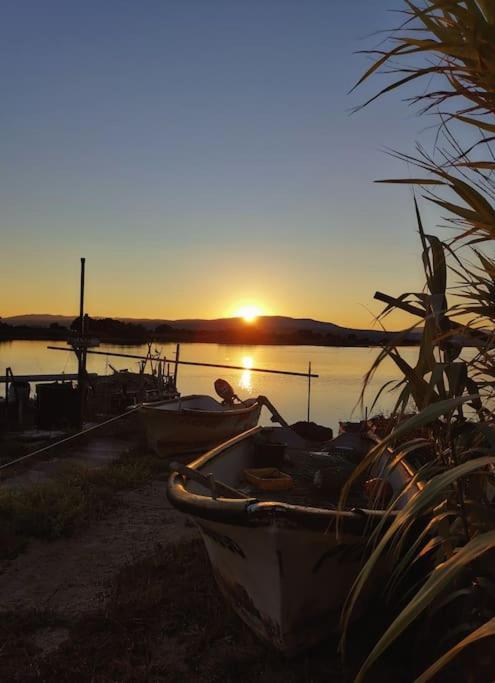 Juste Au Bout Du Chemin, L'etang * Le Barcares